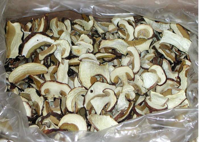 Срок хранения сушенных грибов